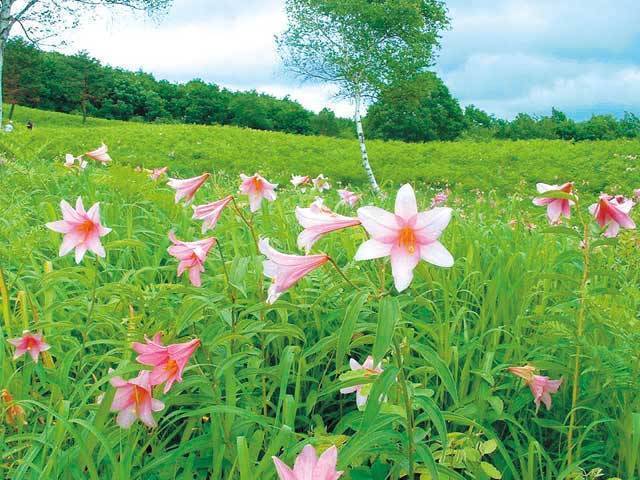 高清水自然公園